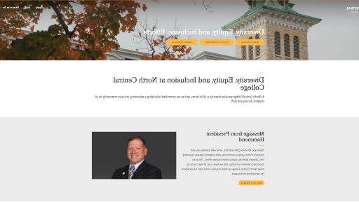 DEI Homepage Screenshot